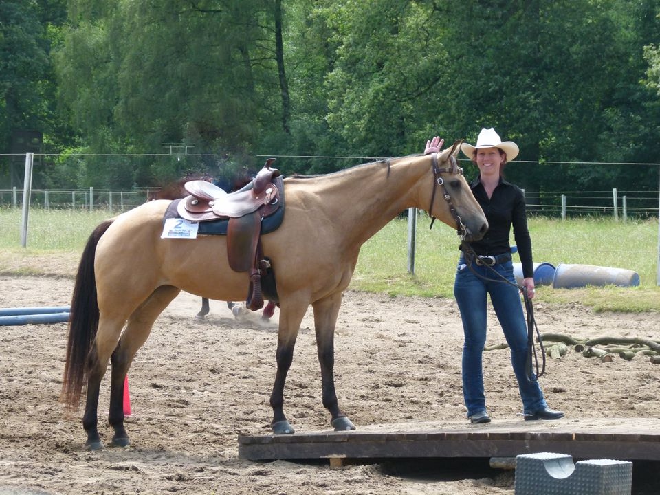 Individuelles Pferdetraining, Pferdeosteopathie, TGT, OCC in Gescher