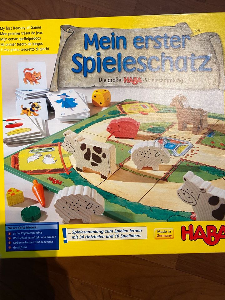 HABA Spiel „Mein erster Spieleschatz“ in Gau-Bickelheim