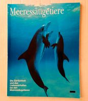 MEERES-SÄUGETIERE - Natur - MEER - Heft/Zeitschrift Nordrhein-Westfalen - Paderborn Vorschau