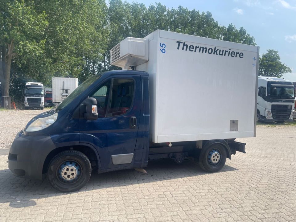 Citroën Jumper oder Relay Thermoking Tiefkühl -30 in Reinstorf