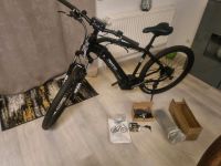 EBike Nagelneu Kraftpaket 90Nm 25Kmh 120km Samsung 36v 14ah Akku Brandenburg - Rehfelde Vorschau