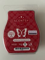 Scentsy Bar  Neu Rheinland-Pfalz - Wissen Vorschau