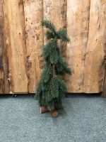 Tanne Tannenbaum Weihnachtsbaum Weihnachtsdekoration deko Nordrhein-Westfalen - Spenge Vorschau