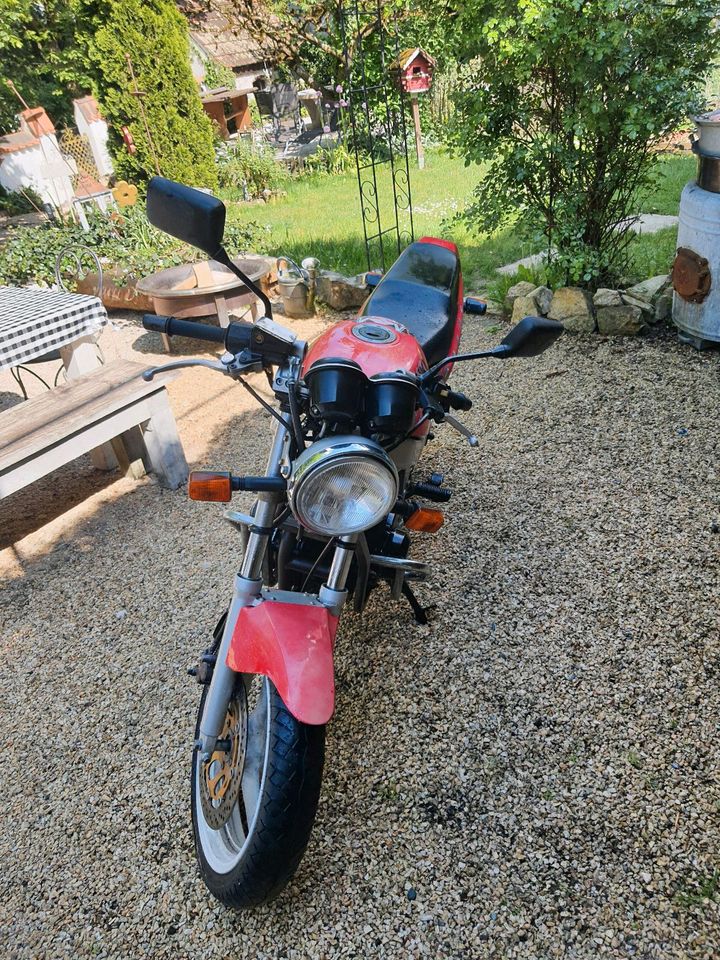 Suzuki gs 500 in Dischingen