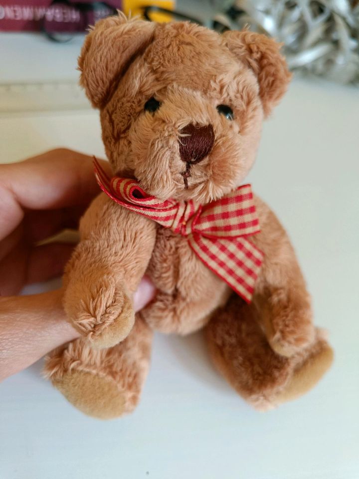 Sunkid Teddybär klein in Ibbenbüren