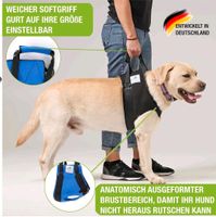 Hundetragehilfe gr L Nordrhein-Westfalen - Greven Vorschau