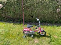 Puky Kinderfahrrad 12 Zoll Schleswig-Holstein - Lübeck Vorschau