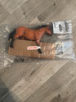 Schleich Horse  Appaloosa Hengst 72152 Nürnberg (Mittelfr) - Südoststadt Vorschau