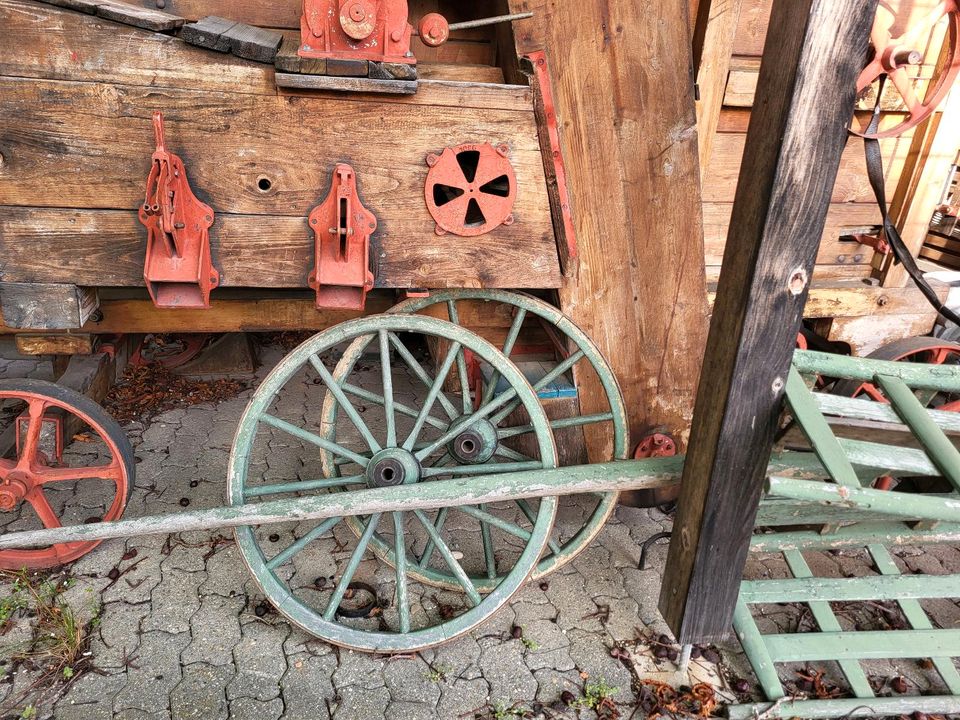 SUCHEN 2 gut erhaltene Holz Räder für unseren alten Eselswagen in Reutlingen