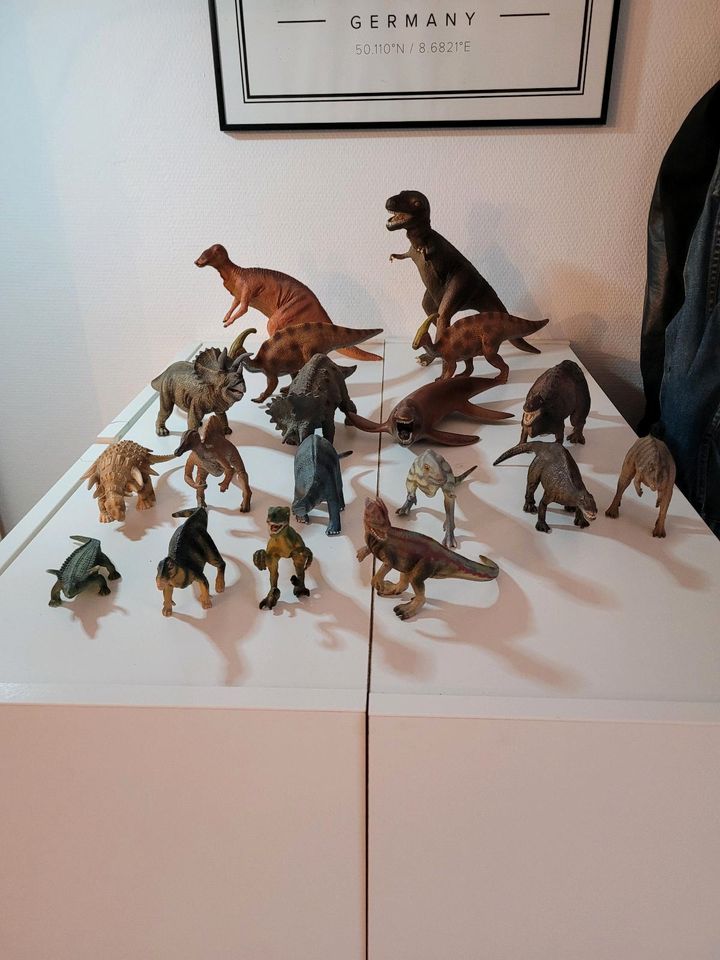 Schleich, Dinosaurier, Tiere, T-Rex, 18 Stück in Frankfurt am Main