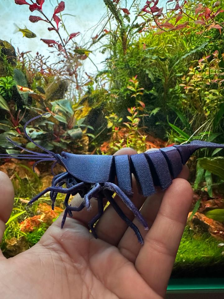3D Garnele Caradina Neocaradina im Aquarium leben aus Kunstoff in Dietzhölztal