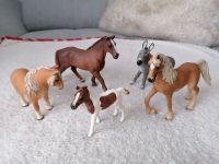 5 Schleich Tiere original 4 Pferde und 1 Esel neuwertig Sachsen - Radebeul Vorschau