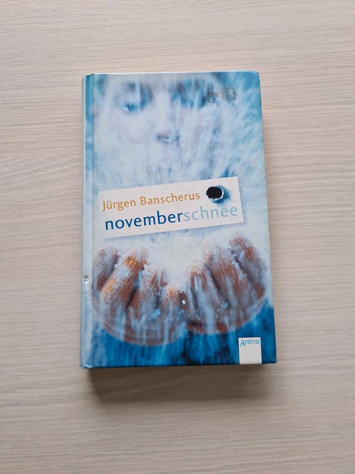Novemberschnee  von Jürgen Banscherus in Augsburg