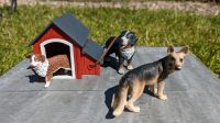 Schleich Hundehütte+ Hunde Schleswig-Holstein - Erfde Vorschau