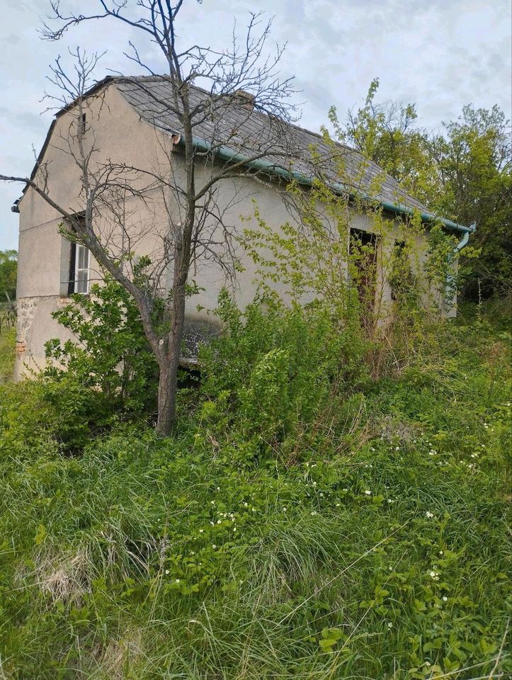 Ferienhaus, Pince Ungarn in Mahlstetten