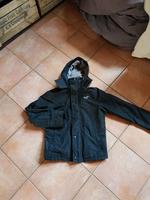 Hollister Jacke Nordrhein-Westfalen - Fröndenberg (Ruhr) Vorschau