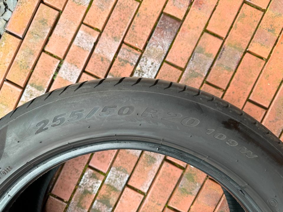 Sommerreifen Pirelli P Zero 255/50 R20 in Emsdetten