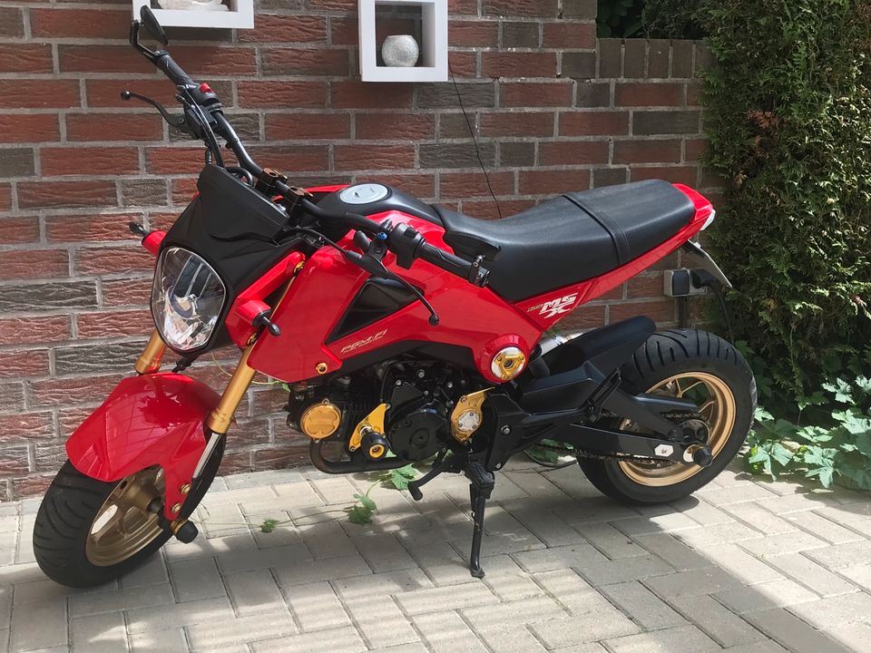 Honda    Msx in Wildeshausen