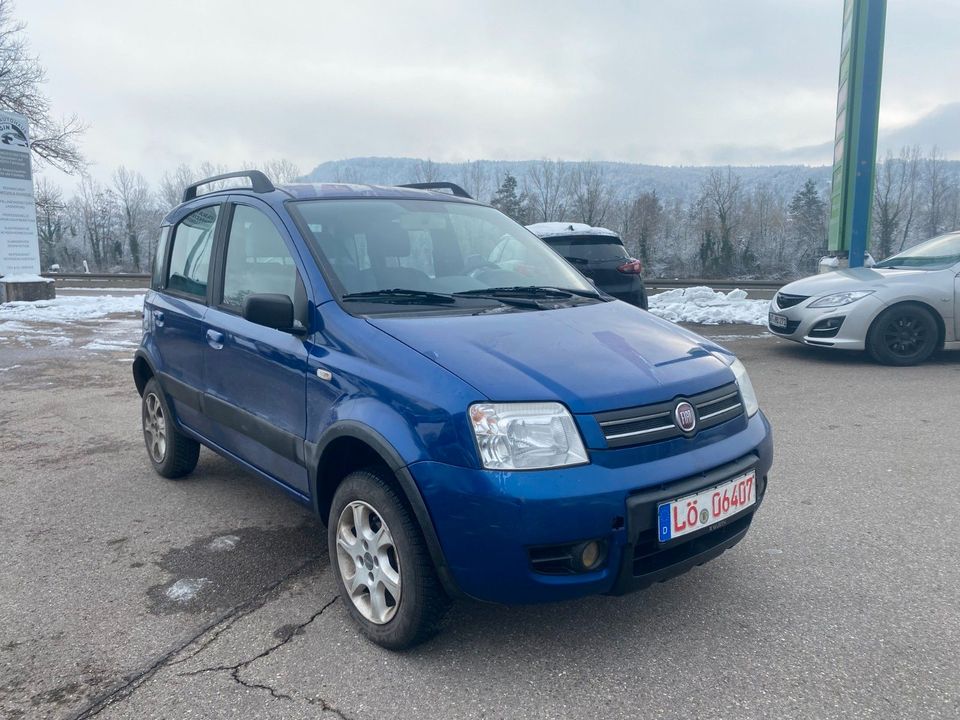 Fiat Panda 1,2 Benzin 4X4 KlIMA ELD in Albbruck