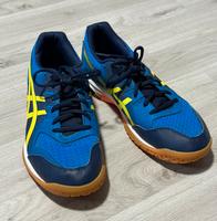 ASICS Herren Hallenschuhe Dortmund - Lütgendortmund Vorschau