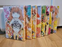 Haru x Kiyo Manga Thüringen - Jena Vorschau