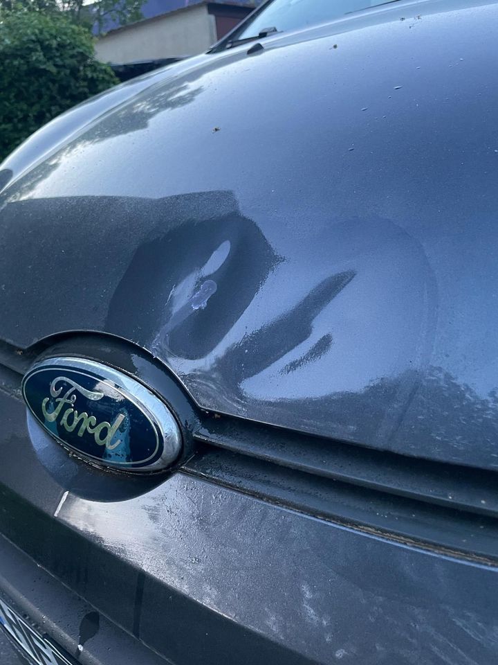 Ford Fiesta 1.4 Diesel Beschreibung lesen ! in Herne