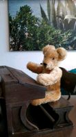 ♥️  Teddybär, Teddy, Bär, Gelenke Handemade Niedersachsen - Braunschweig Vorschau