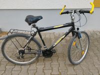 Fahrrad Herren Bayern - Amberg Vorschau