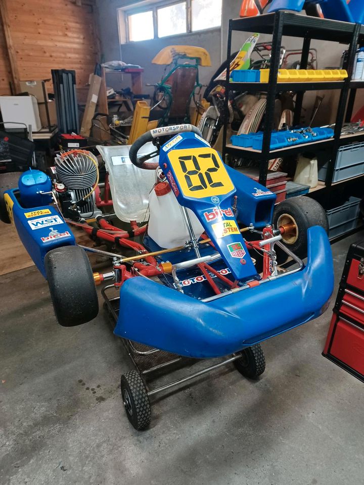 Birel R932/Rennkart/pre2000/GKC100/KFA/ in Rostock