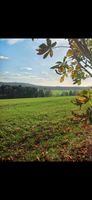 Bauernhaus zu vermieten im Allgäu Baden-Württemberg - Argenbühl Vorschau