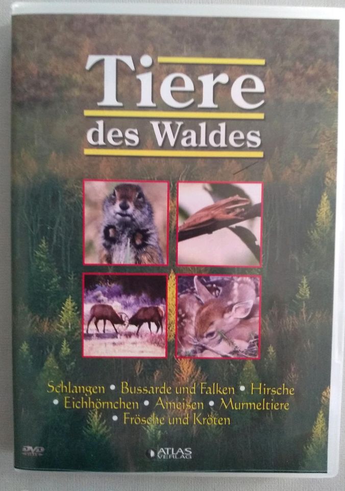 DVD Tiere des Waldes in Aalen