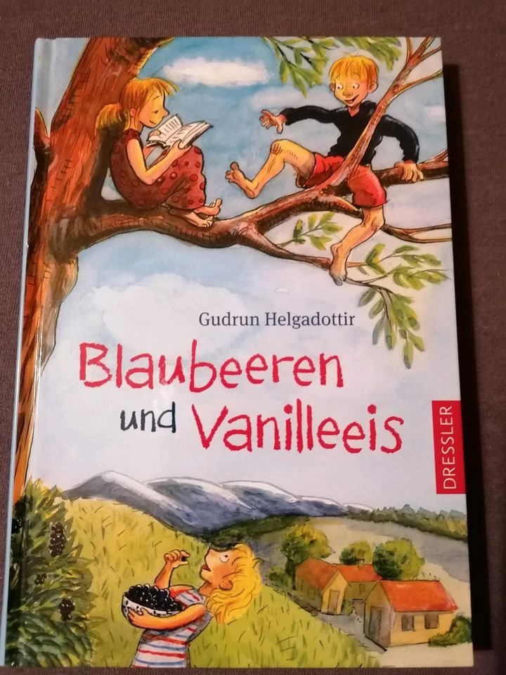 Blaubeeren und Vanilleeis in Pellingen