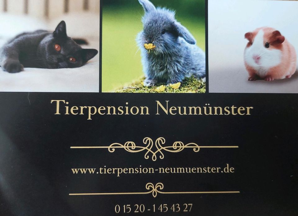 Tierpension/Urlaubsbetreuung in Neumünster