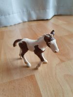 Schleich Pferd Fohlen Baden-Württemberg - Berglen Vorschau