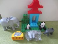 Duplo Pandabär/Elefantenset / Duplo Gartenset mit Beet & Gemüse Eimsbüttel - Hamburg Schnelsen Vorschau