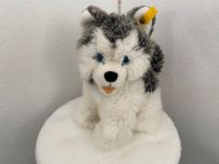 Steiff Husky Kuscheltier 30 cm gut erhalten Berlin - Steglitz Vorschau