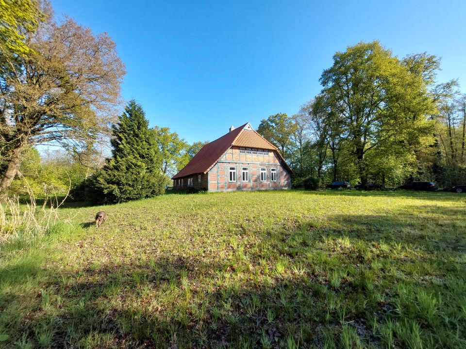 Wohnen inmitten der Natur: stilvoll saniertes Zweiständerhallenhaus auf idyllischem Hofgrundstück in Hude (Oldenburg)