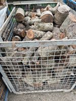 Holz Feuerholz Raucherholz Walnuss Wallnusbaum Bayern - Aichach Vorschau