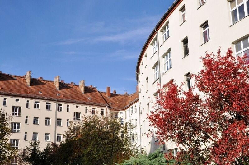 Ich bin WG-tauglich! in Dresden