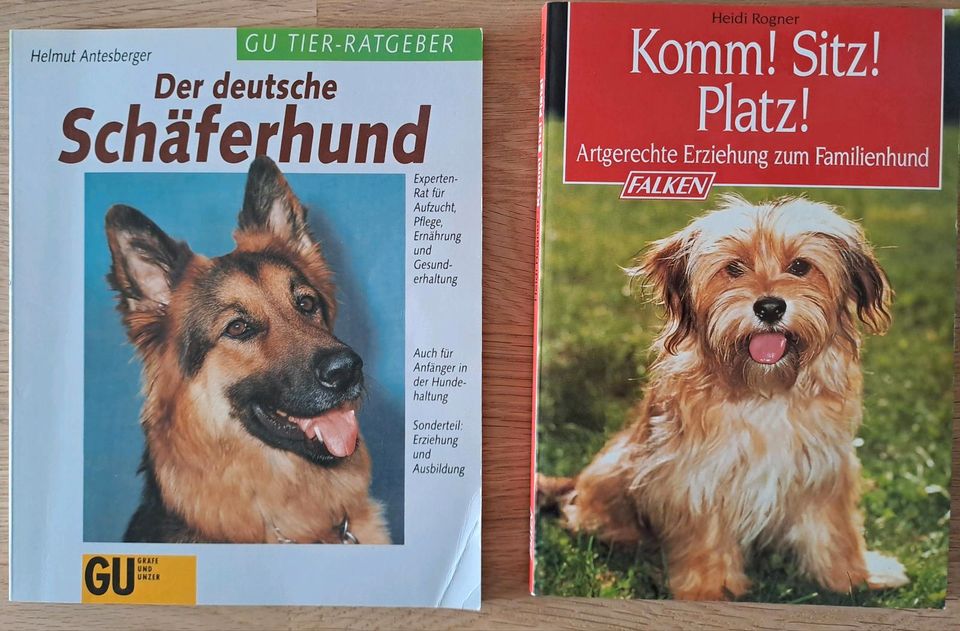 Buch Hund, Schäferhund, Tier Ratgeber in Küps