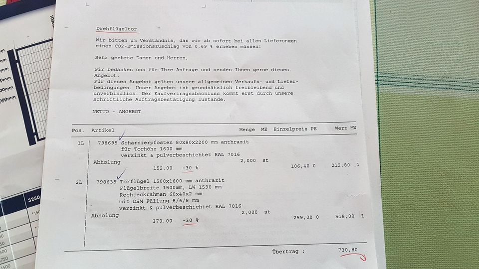 Zweiflügeltor TOR + TÜR Doppelstabmatten Garten Einfahrt in Saarbrücken