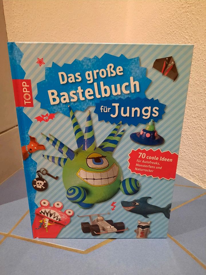 Bastelbuch für Jungs Top in Grünsfeld