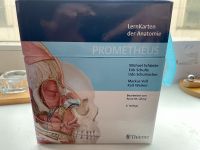 Lernkarten der Anatomie von Thieme Bremen - Osterholz Vorschau