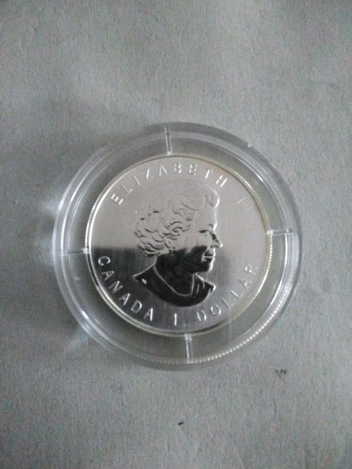 Canada Dollar 2006 Timberwolf 1/2 oz Silber ( selten  ) in Dortmund