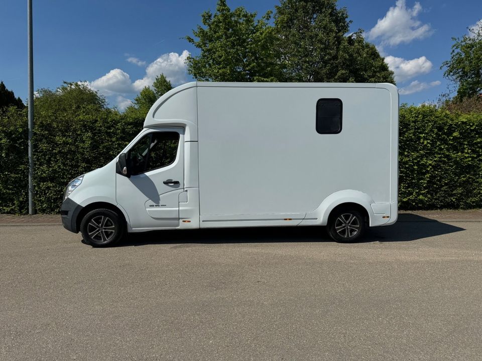 Pferdetransporter  Viehtransporter Tiertransporter LKW Nuyts 3,5t in Unterschneidheim