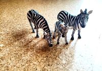 Schleich Wildlife Zebra Familie Zebras 14391 Rarität Tier Figuren Bayern - Bayreuth Vorschau