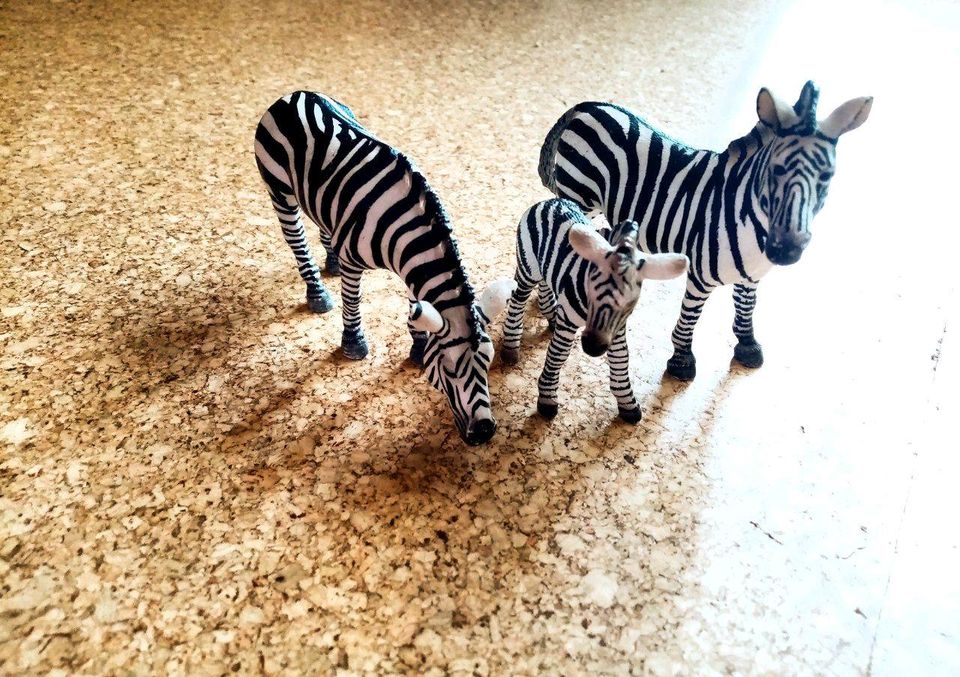 Schleich Wildlife Zebra Familie Zebras 14391 Rarität Tier Figuren in Bayreuth