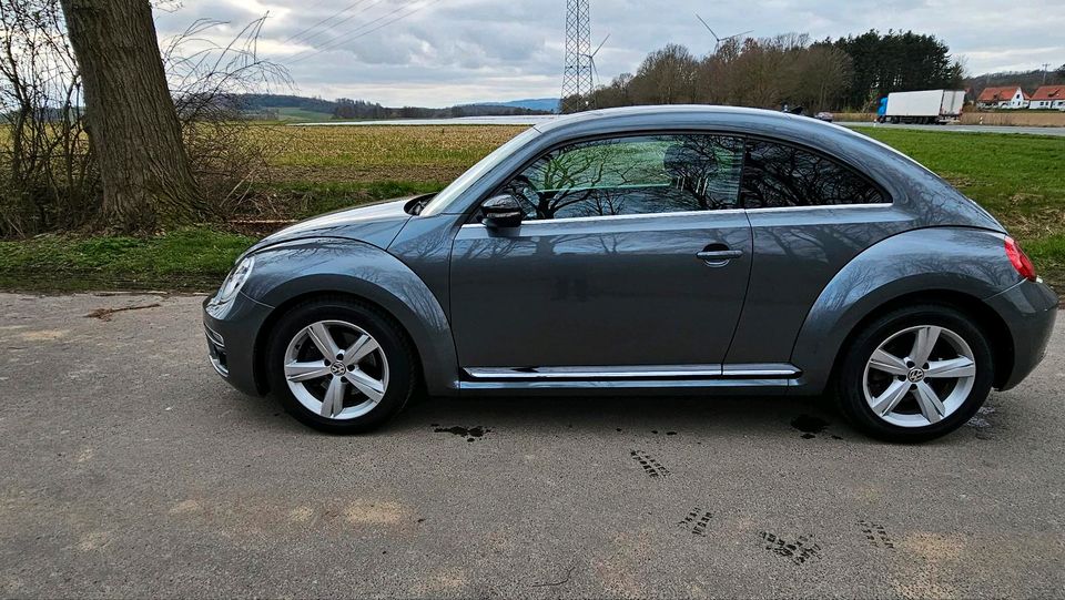 Volkswagen beetle 1.4 TSI R-Line in Springe
