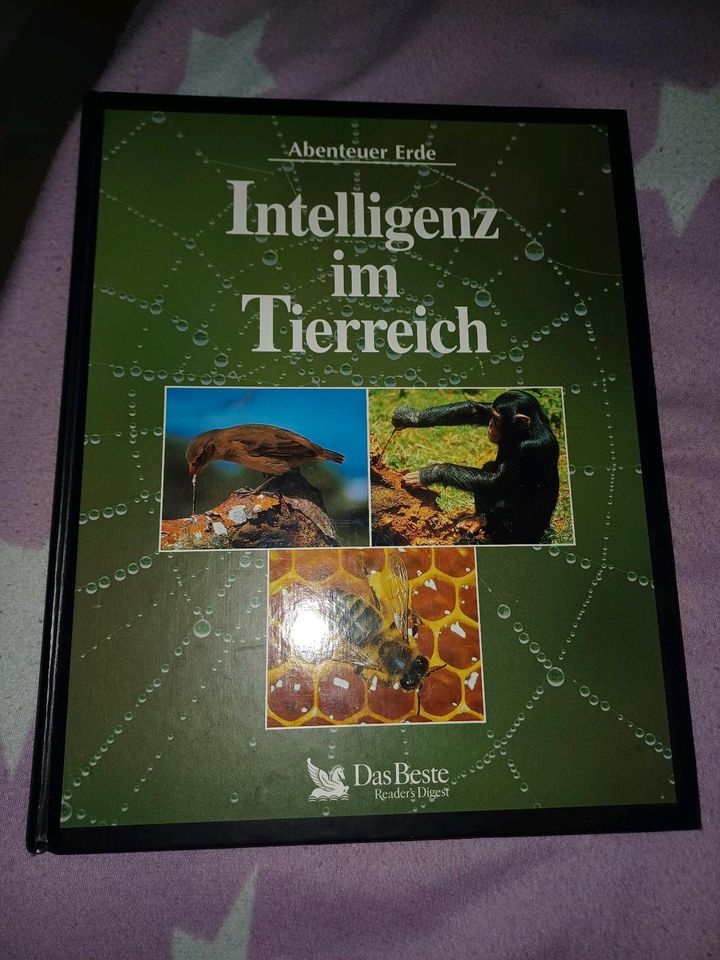 Buch Intelligenz im tierreich in Rothenburg