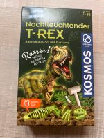 Nachtleuchtender T-Rex Ausgrabungsset NEU OVP Nordrhein-Westfalen - Ratingen Vorschau